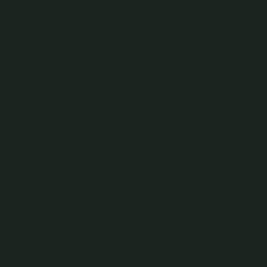 P52007 Ink Green