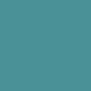 S51017 Arctic Blue
