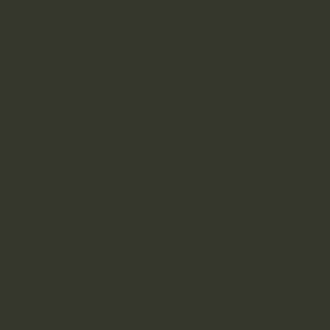 S59001 Mystical Brown
