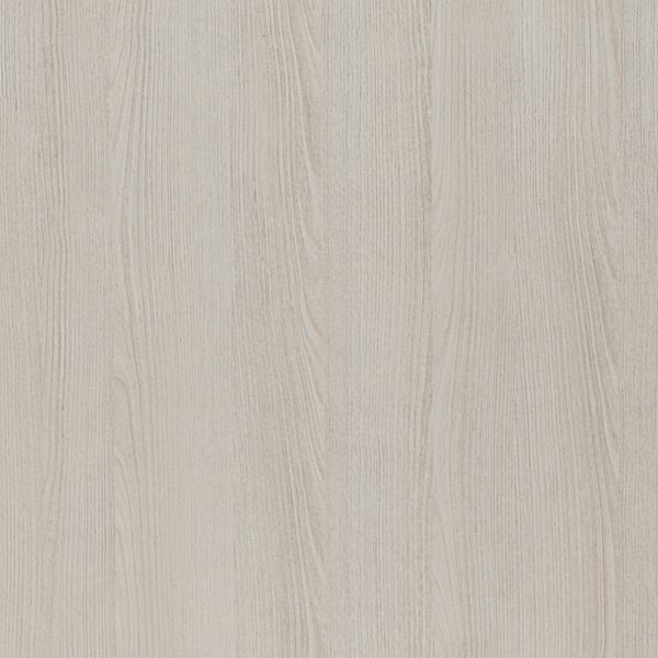 W4722 DS Cuenca Pinus