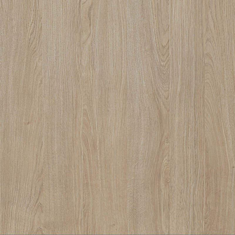 W8341 LCA Gaddis Oak